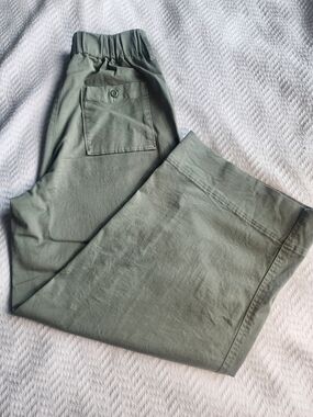 J. Crew Olive Green Chino Pants with Elastic Waist